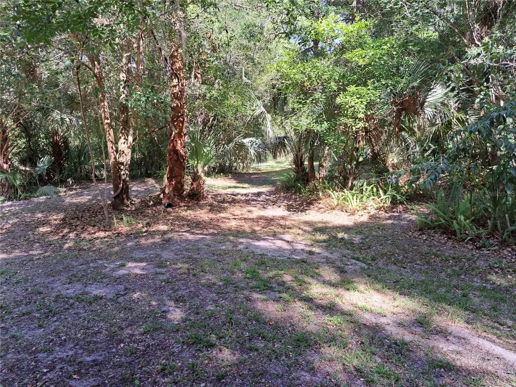 5672 Ave H Mc Intosh FL 32664