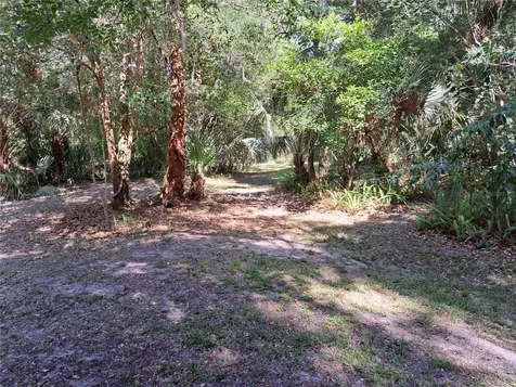 5672 Ave H Mc Intosh FL 32664