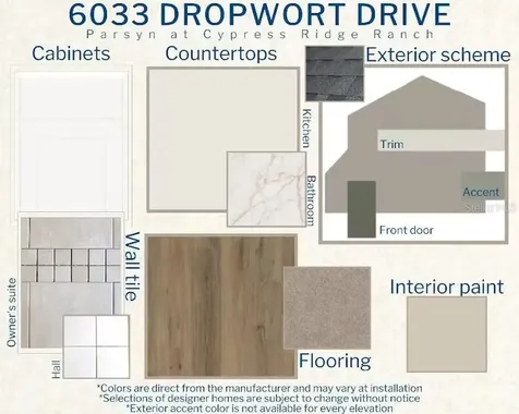 6033 Dropwort Drive Wimauma FL 33598