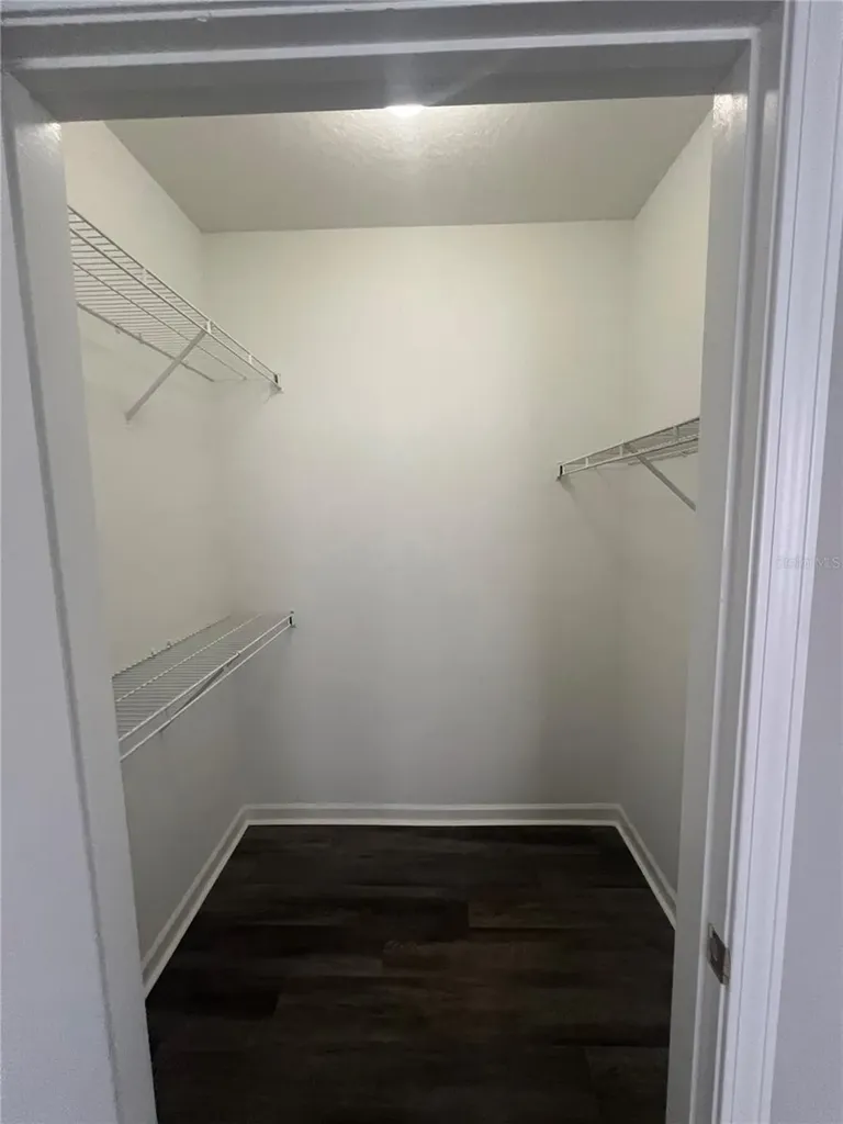 18046 Villa Creek Drive Tampa FL 33647