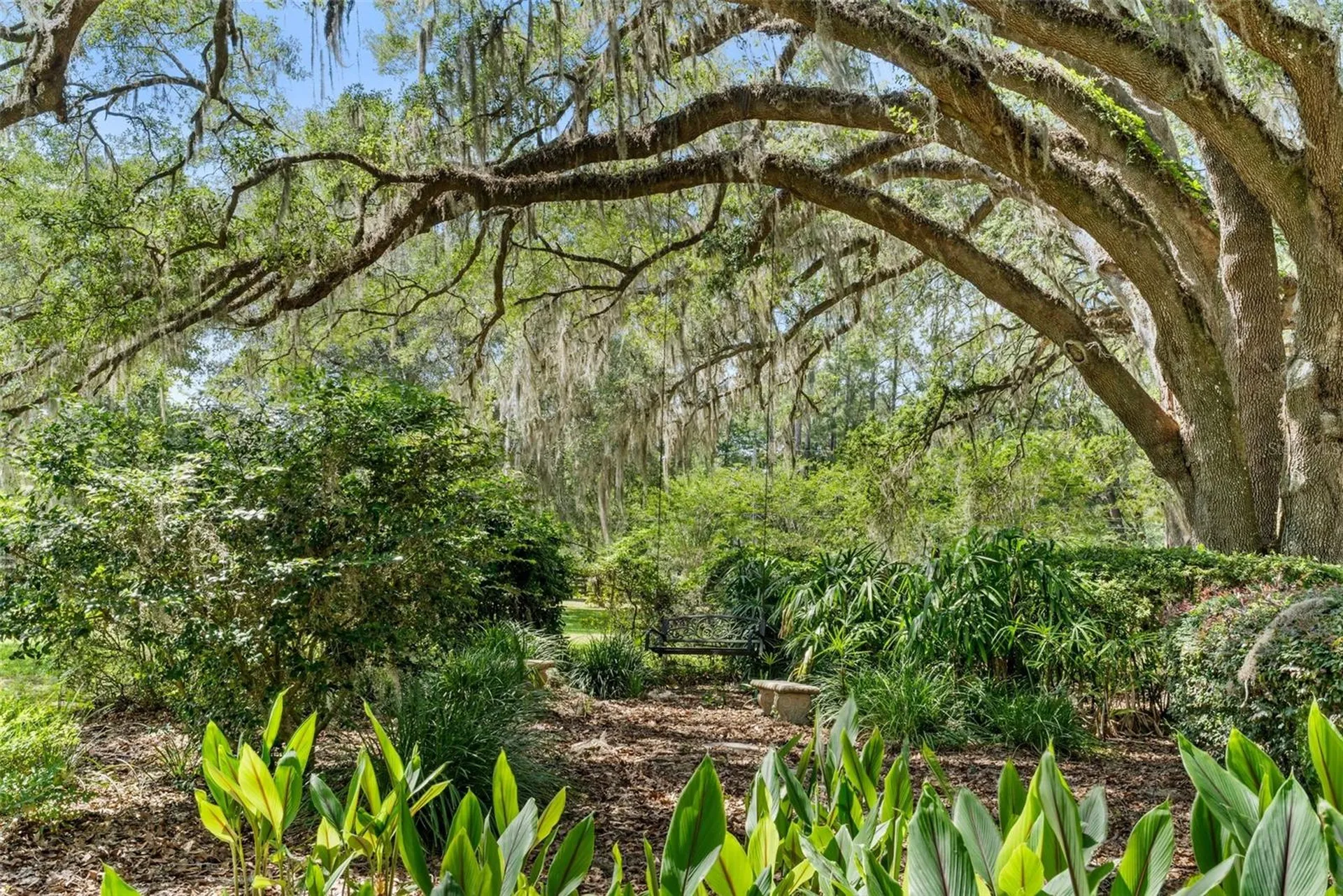 12003 NW 112th Avenue Alachua FL 32615