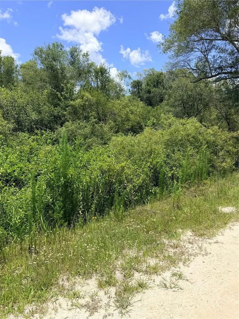 Lot 10 Hardstone Drive Webster FL 33597