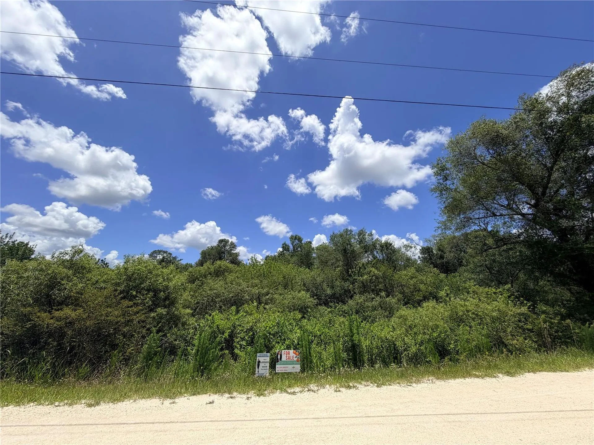 Lot 10 Hardstone Drive Webster FL 33597