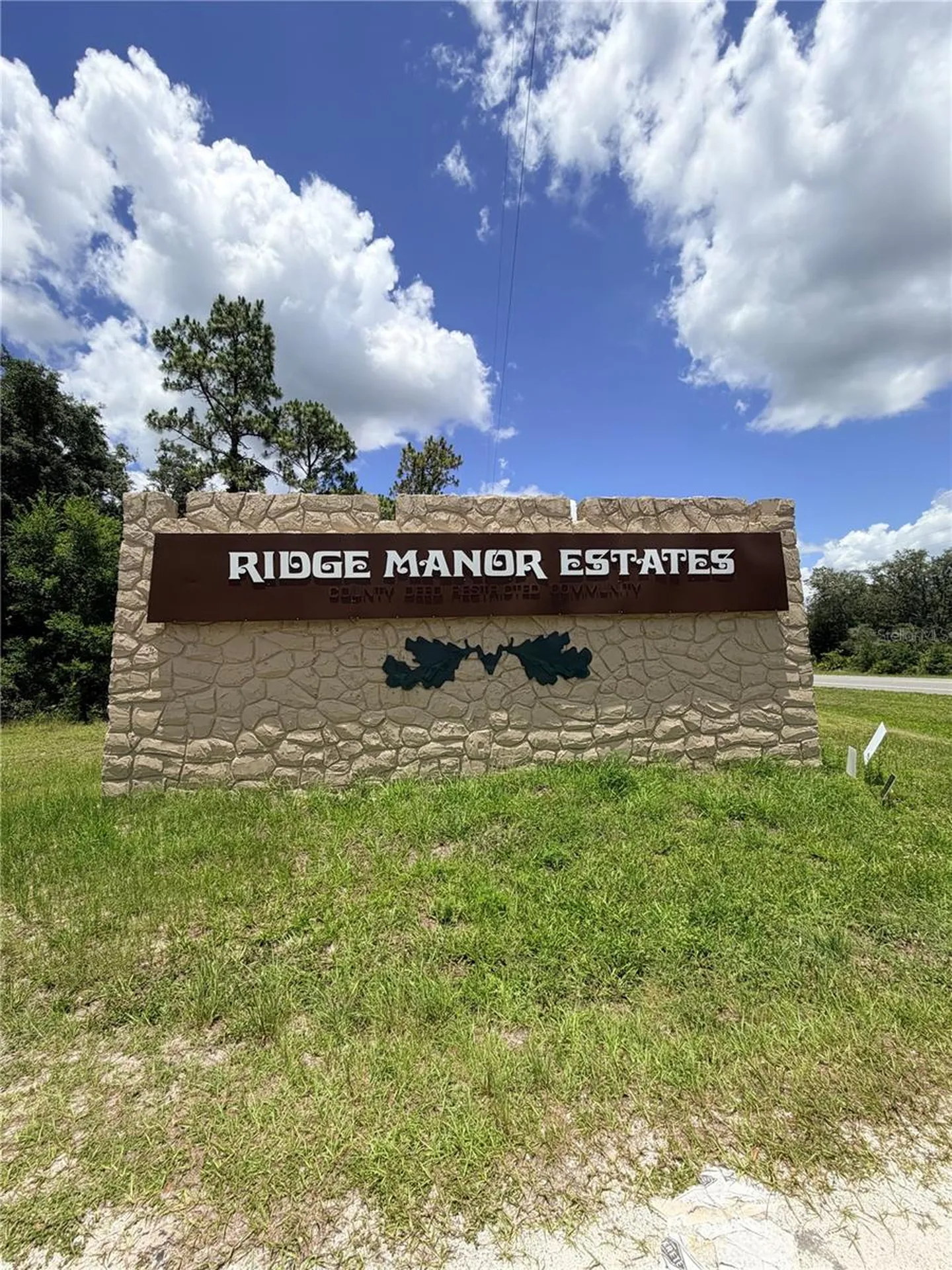 Lot 10 Hardstone Drive Webster FL 33597