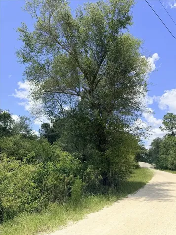Lot 10 Hardstone Drive Webster FL 33597