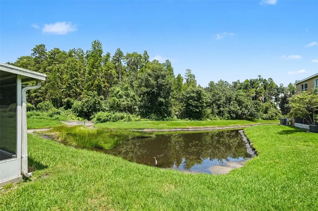 30153 Barnaby Lane Wesley Chapel FL 33543