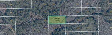 Dill Road Orlando FL 32820