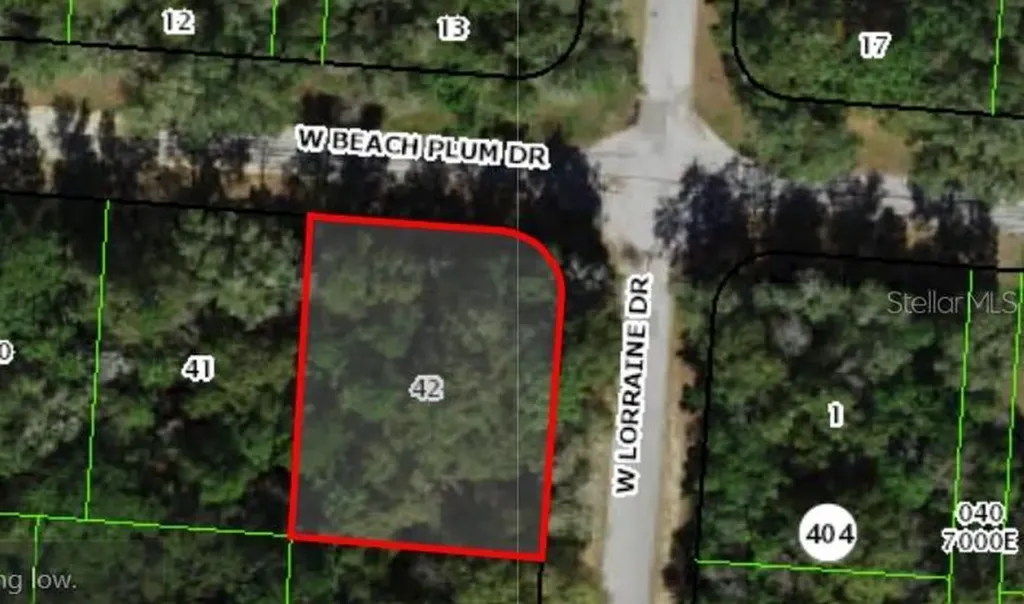 1920 W Beach Plum Drive Citrus Springs FL 34434