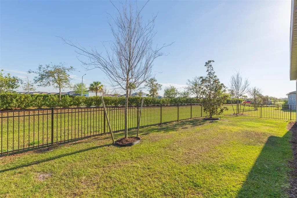 34338 Wynthorne Place Wesley Chapel FL 33545