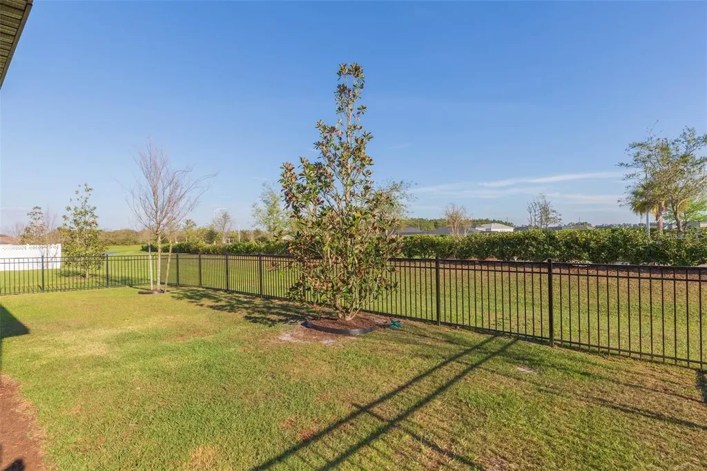 34338 Wynthorne Place Wesley Chapel FL 33545