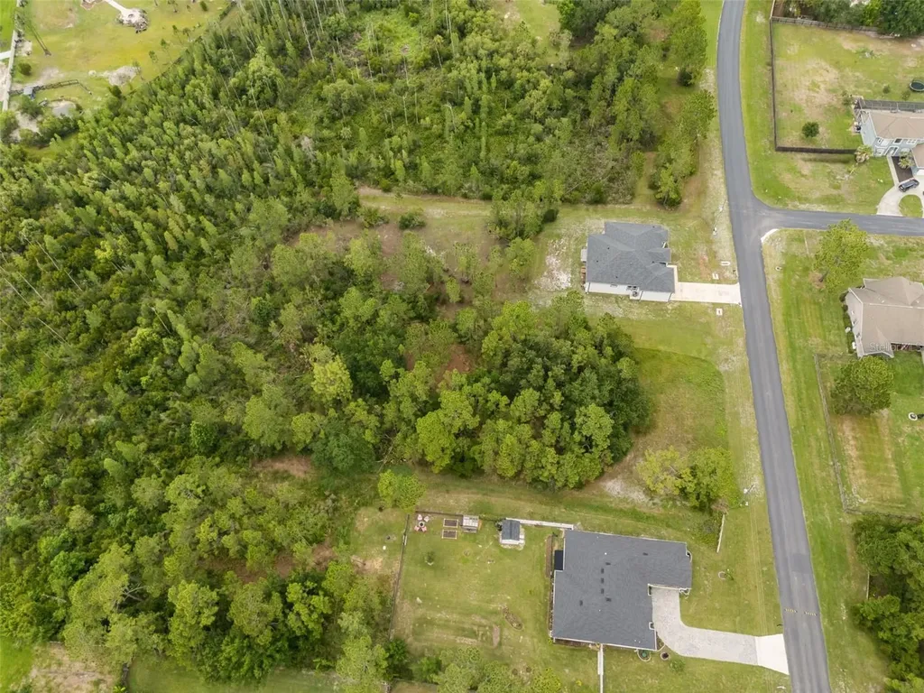 8017 Woodleaf Boulevard Wesley Chapel FL 33544