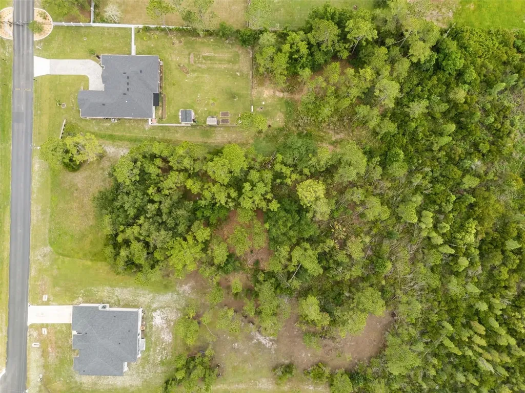8017 Woodleaf Boulevard Wesley Chapel FL 33544