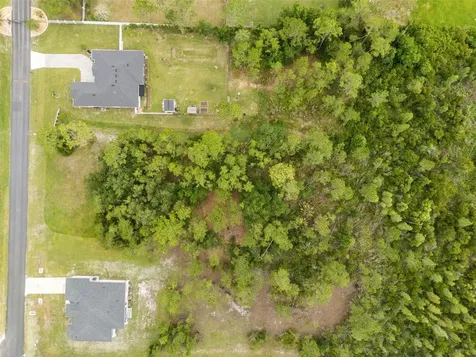 8017 Woodleaf Boulevard Wesley Chapel FL 33544