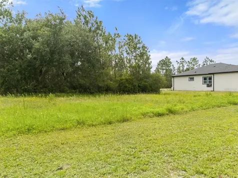 8017 Woodleaf Boulevard Wesley Chapel FL 33544
