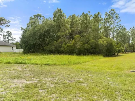 8017 Woodleaf Boulevard Wesley Chapel FL 33544