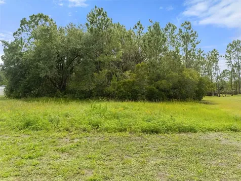 8017 Woodleaf Boulevard Wesley Chapel FL 33544