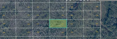Dill Road Orlando FL 32820
