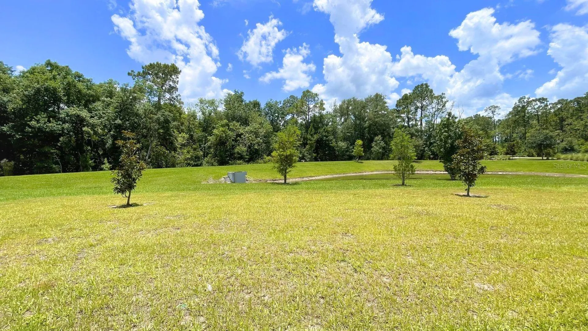 16308 Winding Preserve Circle Clermont FL 34714