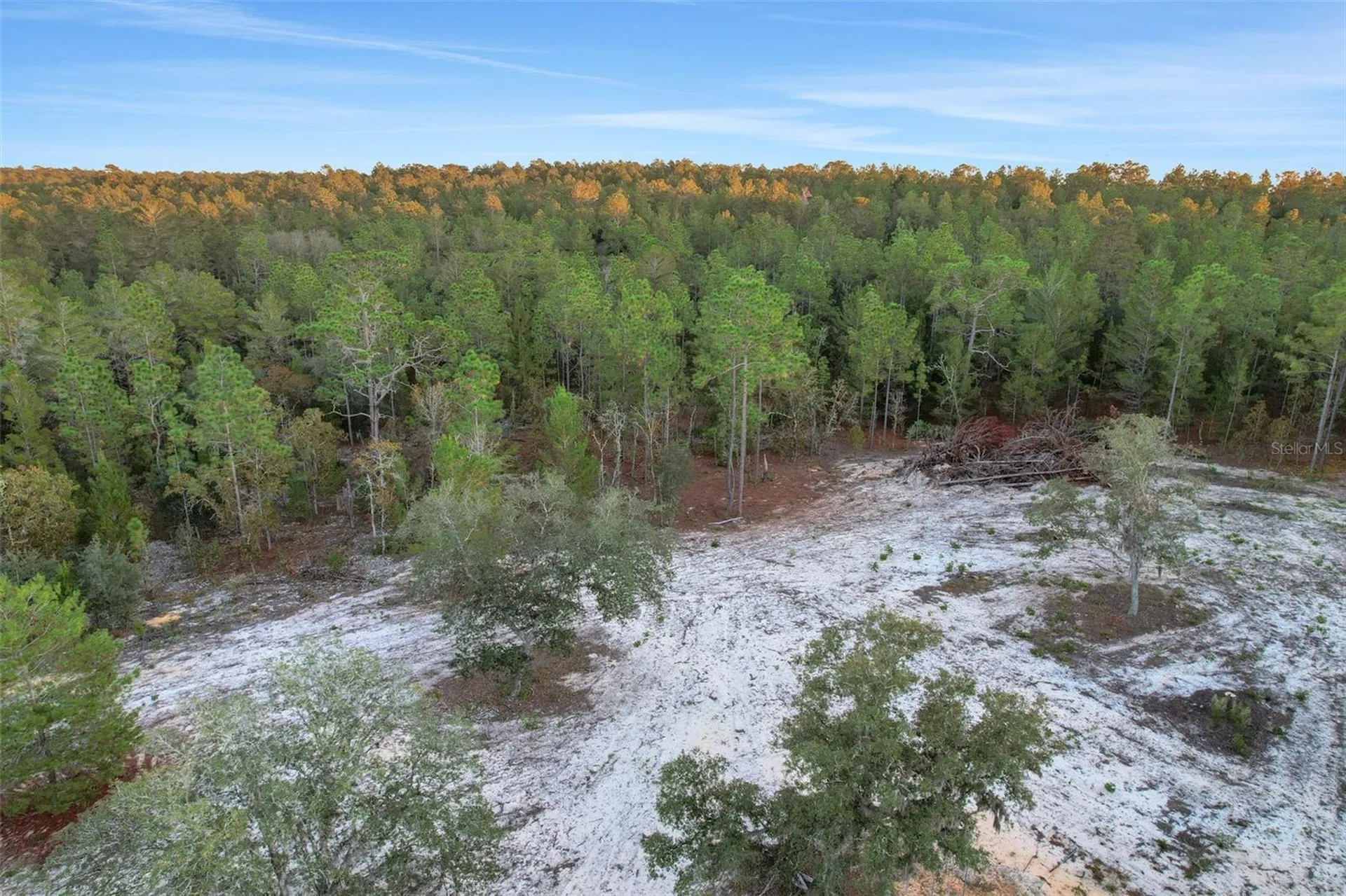 161 Windy Hills Road Hawthorne FL 32640