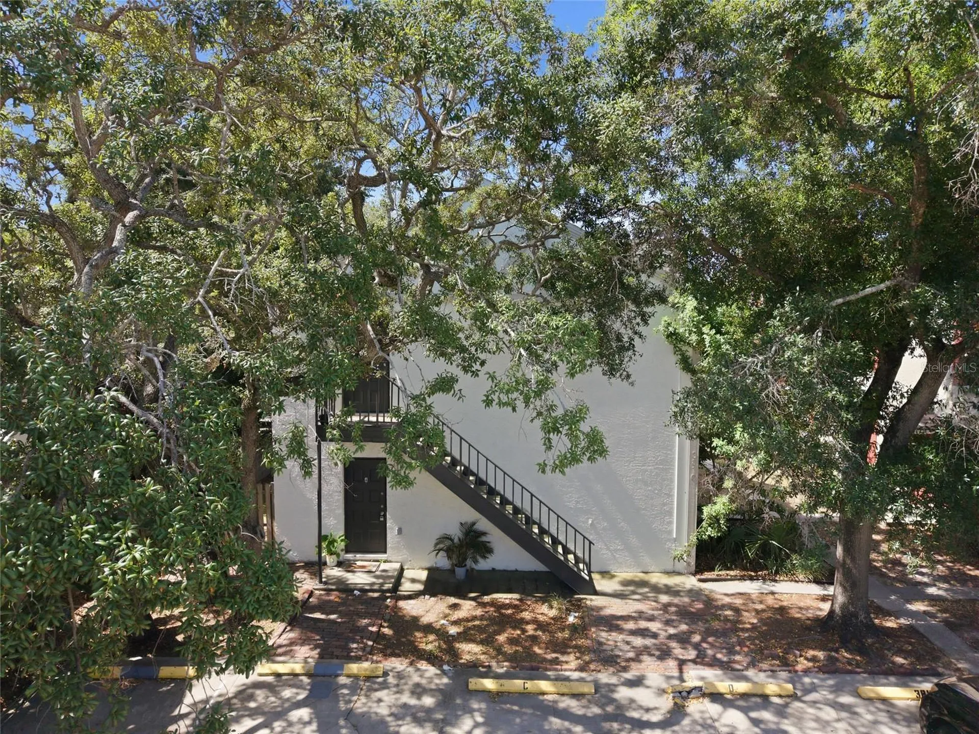 3810 W Cleveland Street Tampa FL 33609
