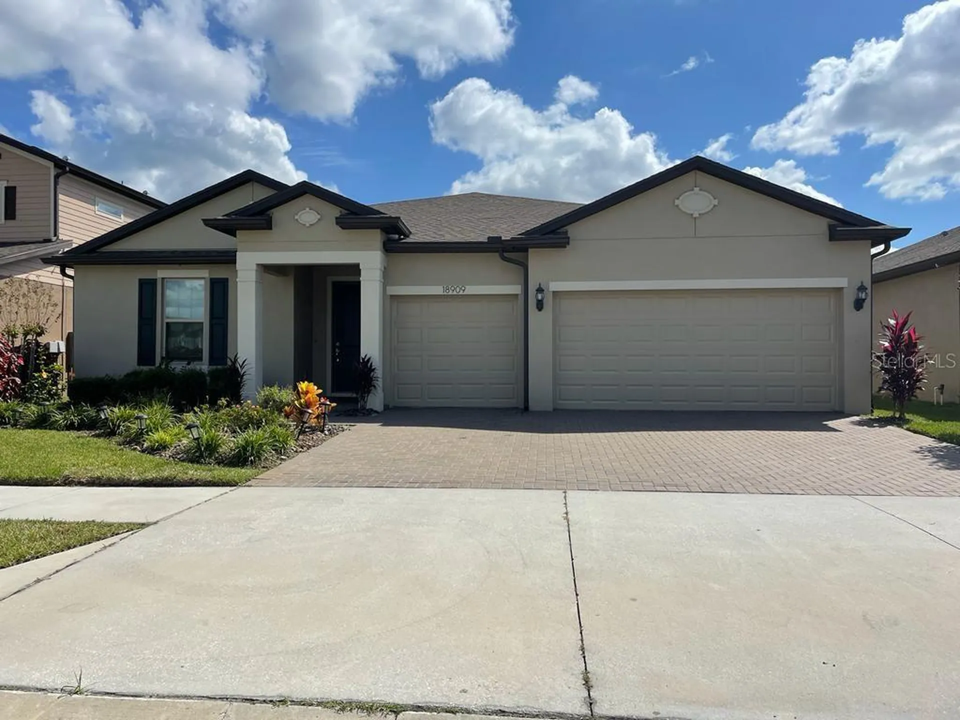 18909 Willowmore Cedar Drive Lutz FL 33558
