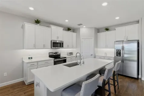 31700 Cannon Rush Drive San Antonio FL 33576