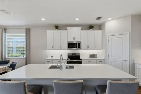 31700 Cannon Rush Drive San Antonio FL 33576