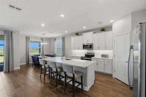 31700 Cannon Rush Drive San Antonio FL 33576