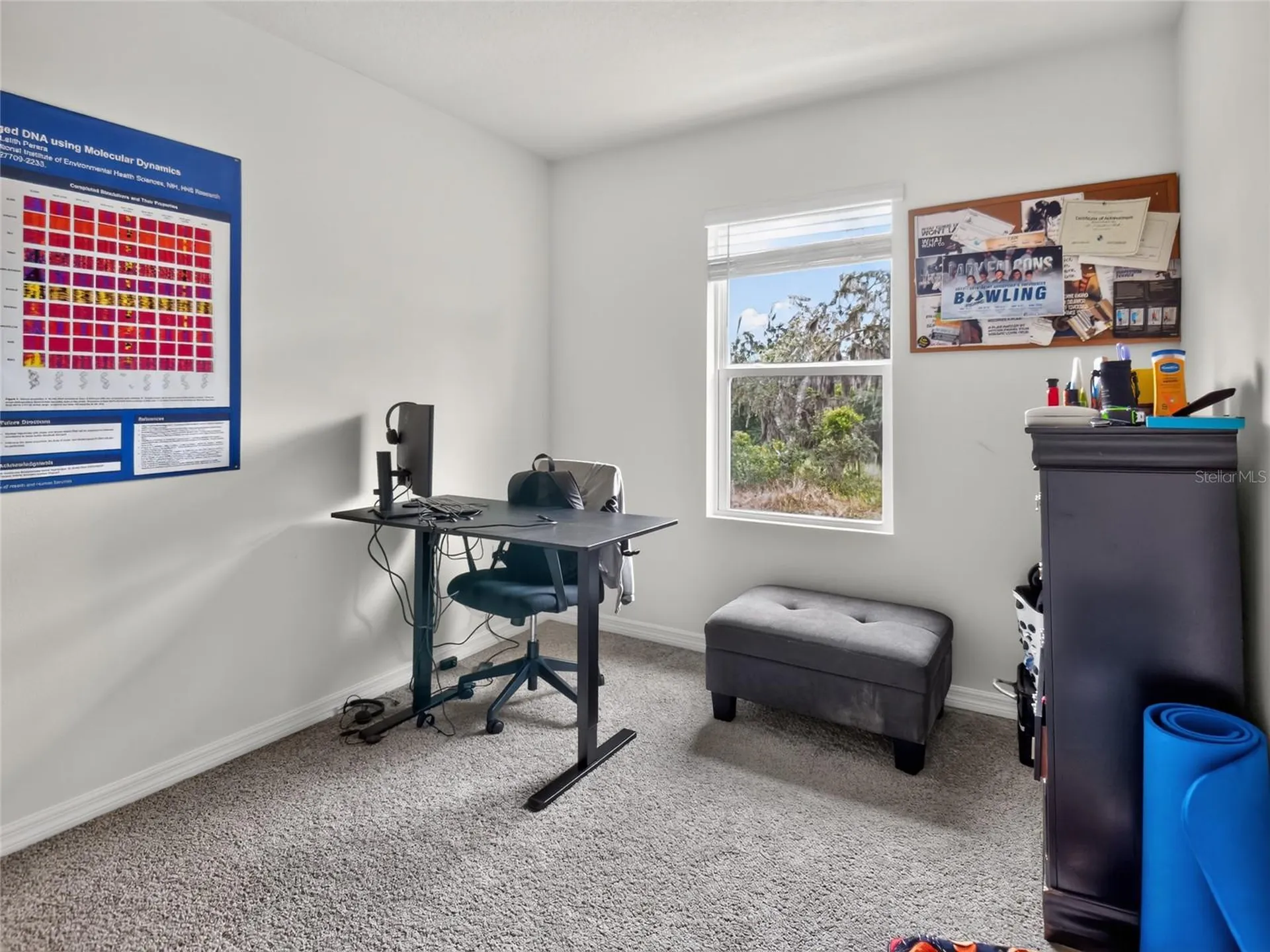 3156 Goose Road Davenport FL 33837