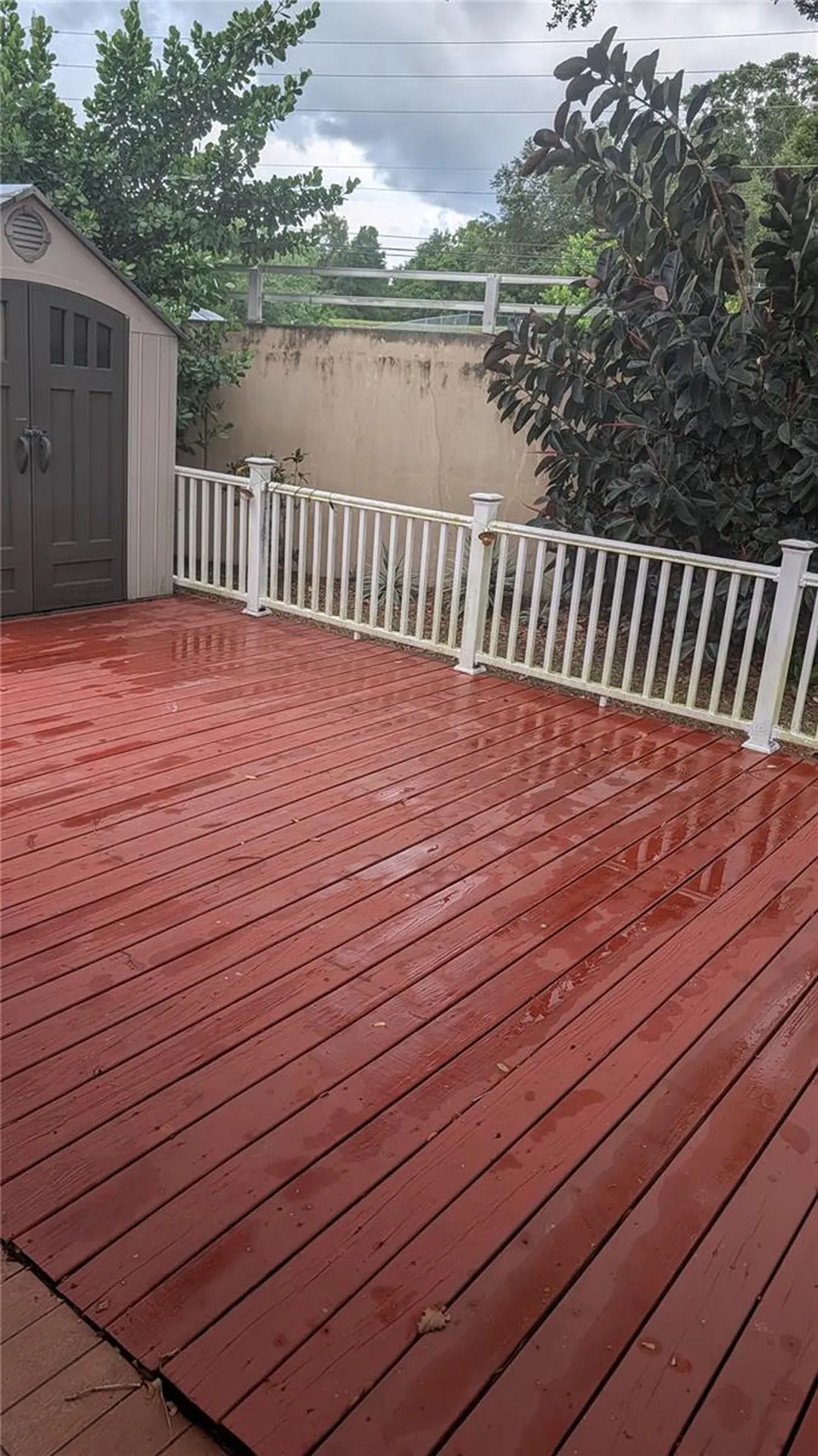 4000 Poinciana Court Palm Harbor FL 34684