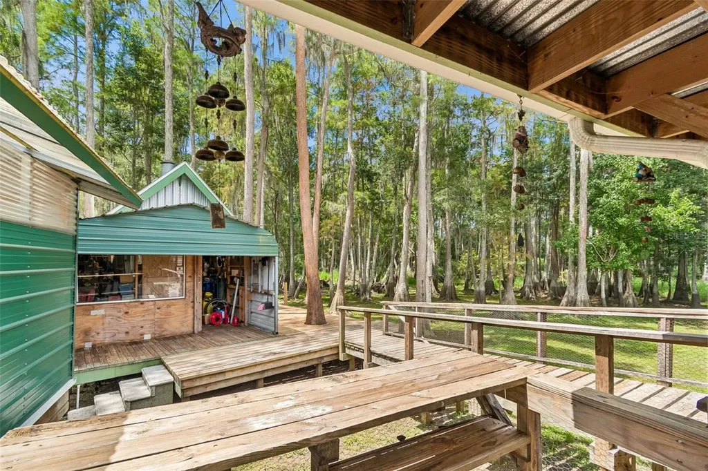 17808 Dogwood Drive Lutz FL 33558