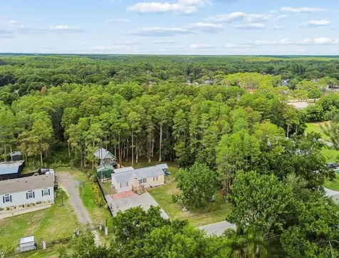 17808 Dogwood Drive Lutz FL 33558