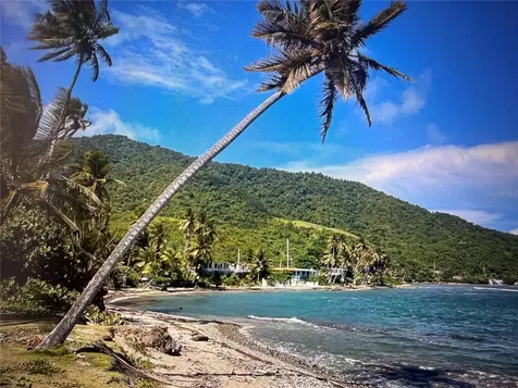 20 Highway 7758 Patillas PR 00723