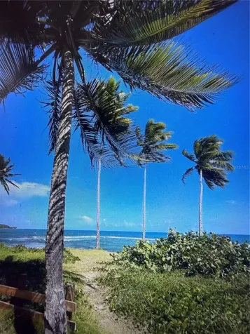 20 Highway 7758 Patillas PR 00723