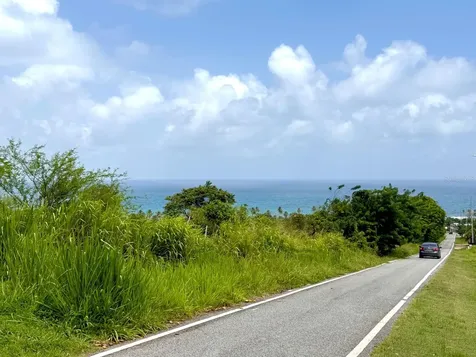 20 Highway 7758 Patillas PR 00723