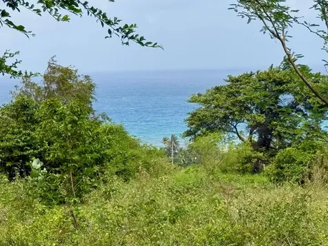 20 Highway 7758 Patillas PR 00723