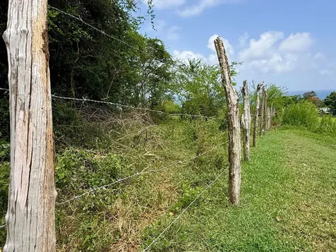 20 Highway 7758 Patillas PR 00723