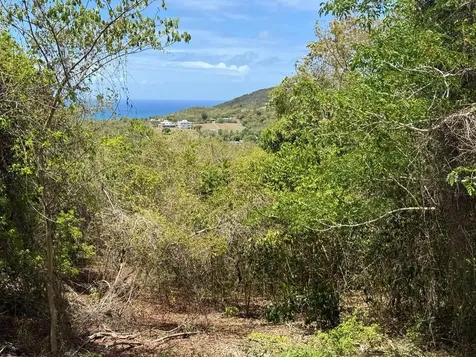 89 Calle Casa Hix Vieques PR 00765