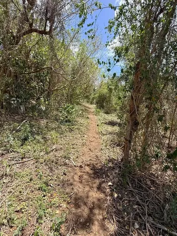 89 Calle Casa Hix Vieques PR 00765
