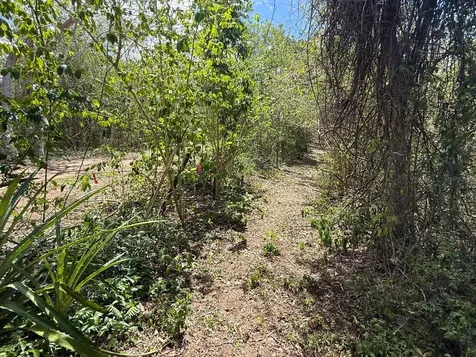 89 Calle Casa Hix Vieques PR 00765