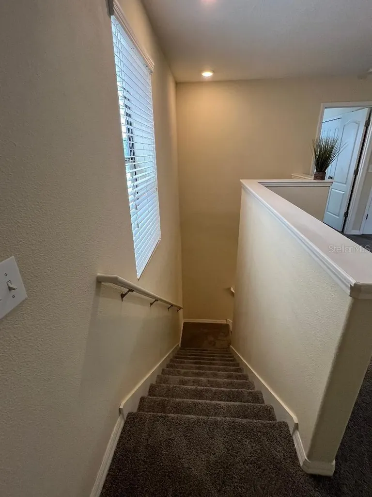 1142 Ballard Green Place Brandon FL 33511