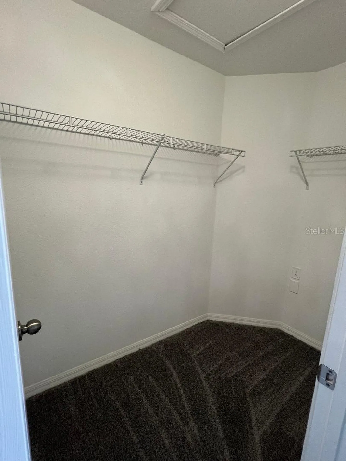 1142 Ballard Green Place Brandon FL 33511