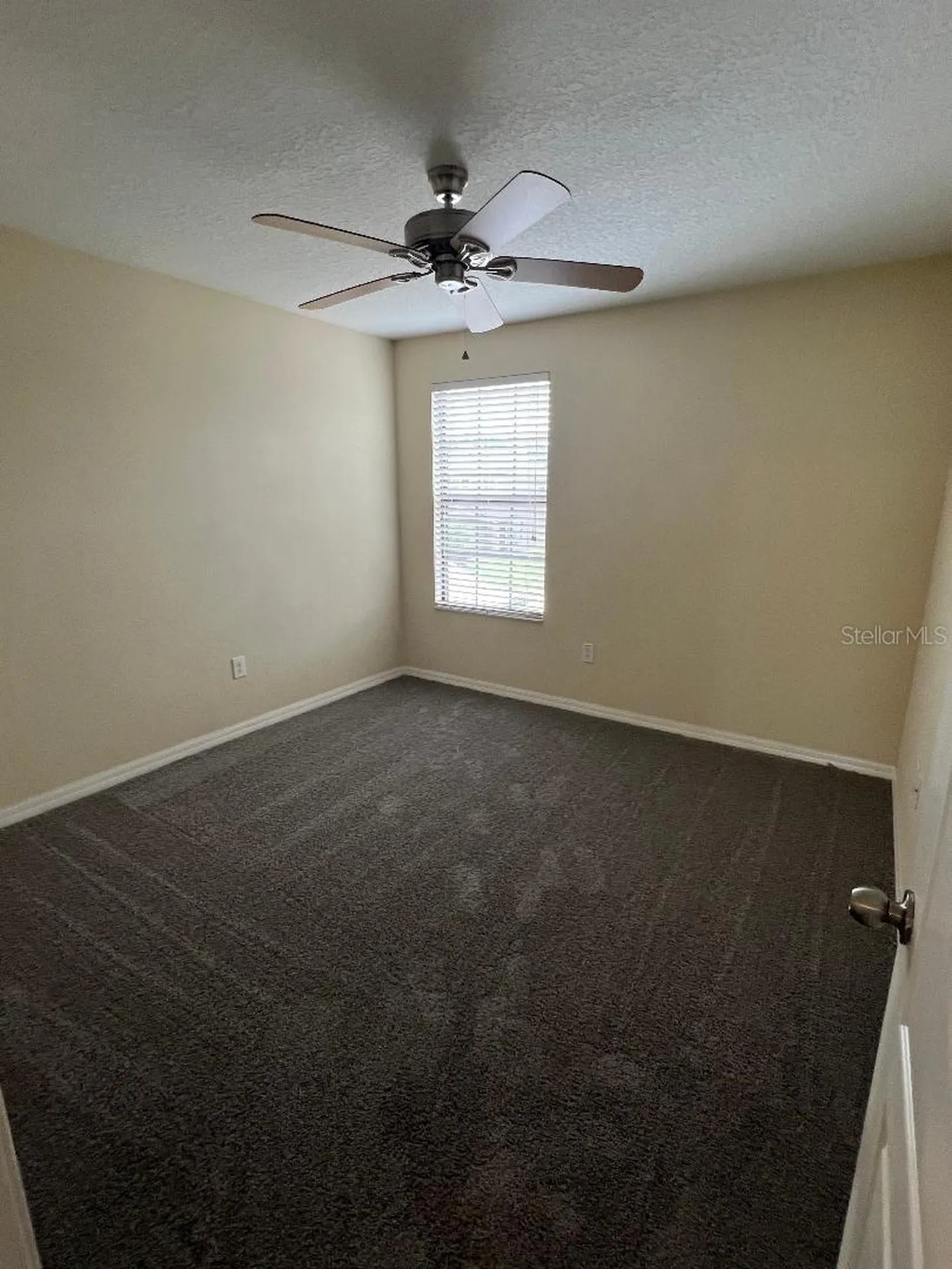 1142 Ballard Green Place Brandon FL 33511