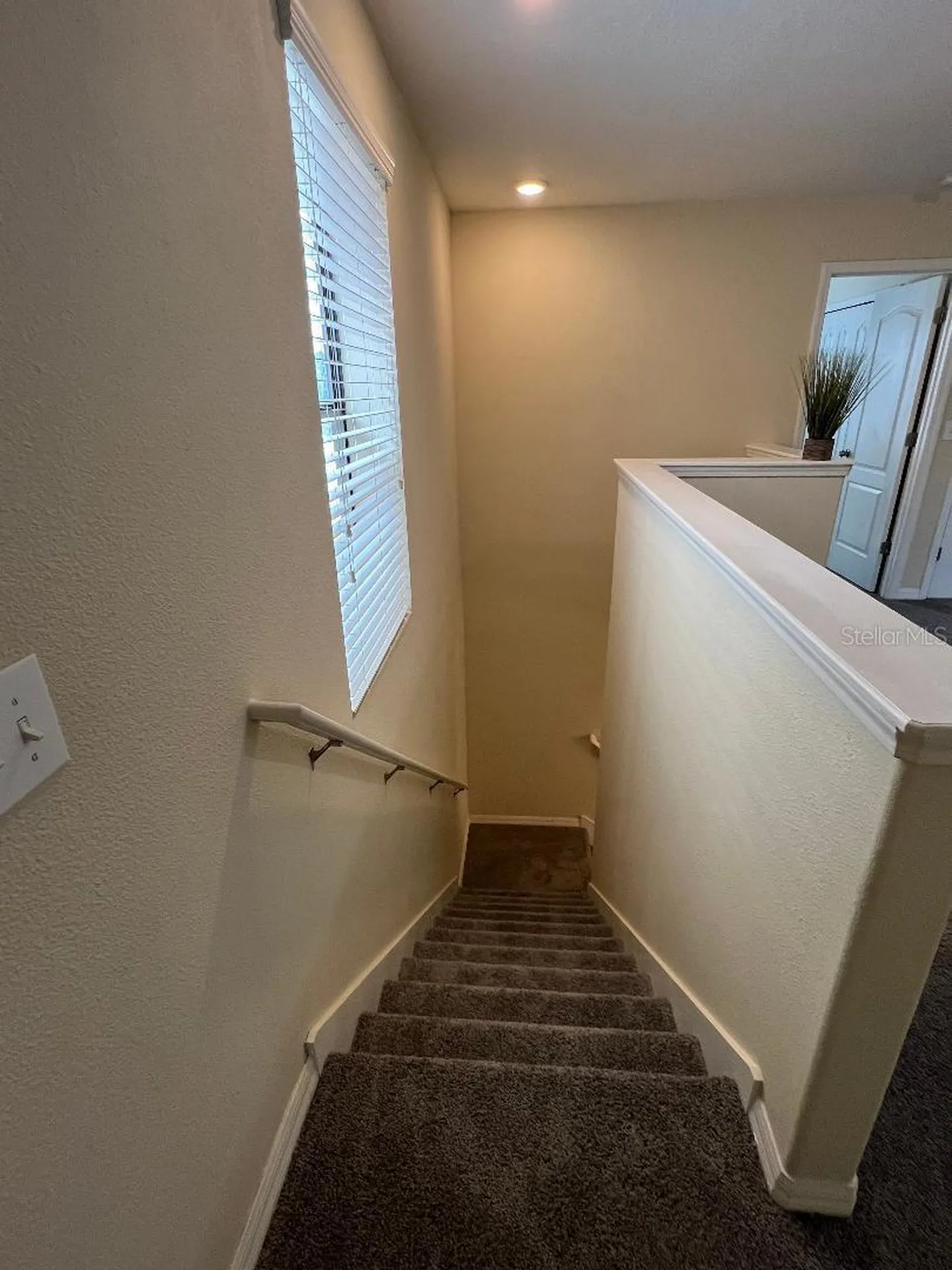 1142 Ballard Green Place Brandon FL 33511