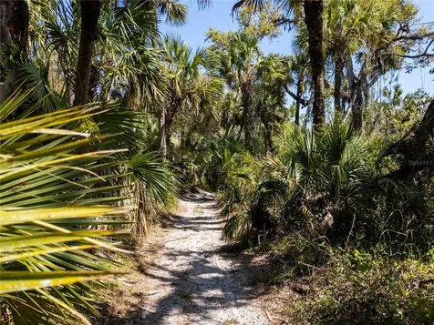 Slash Pine Drive North Port FL 34291