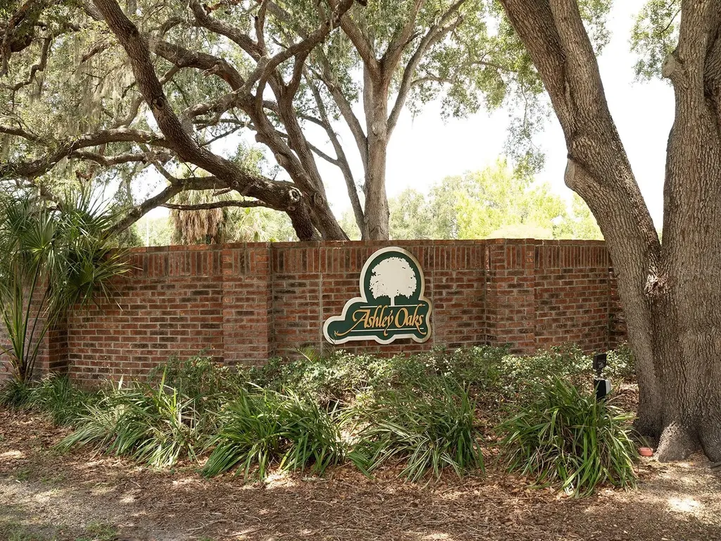 10501 Ashley Oaks Drive Riverview FL 33578