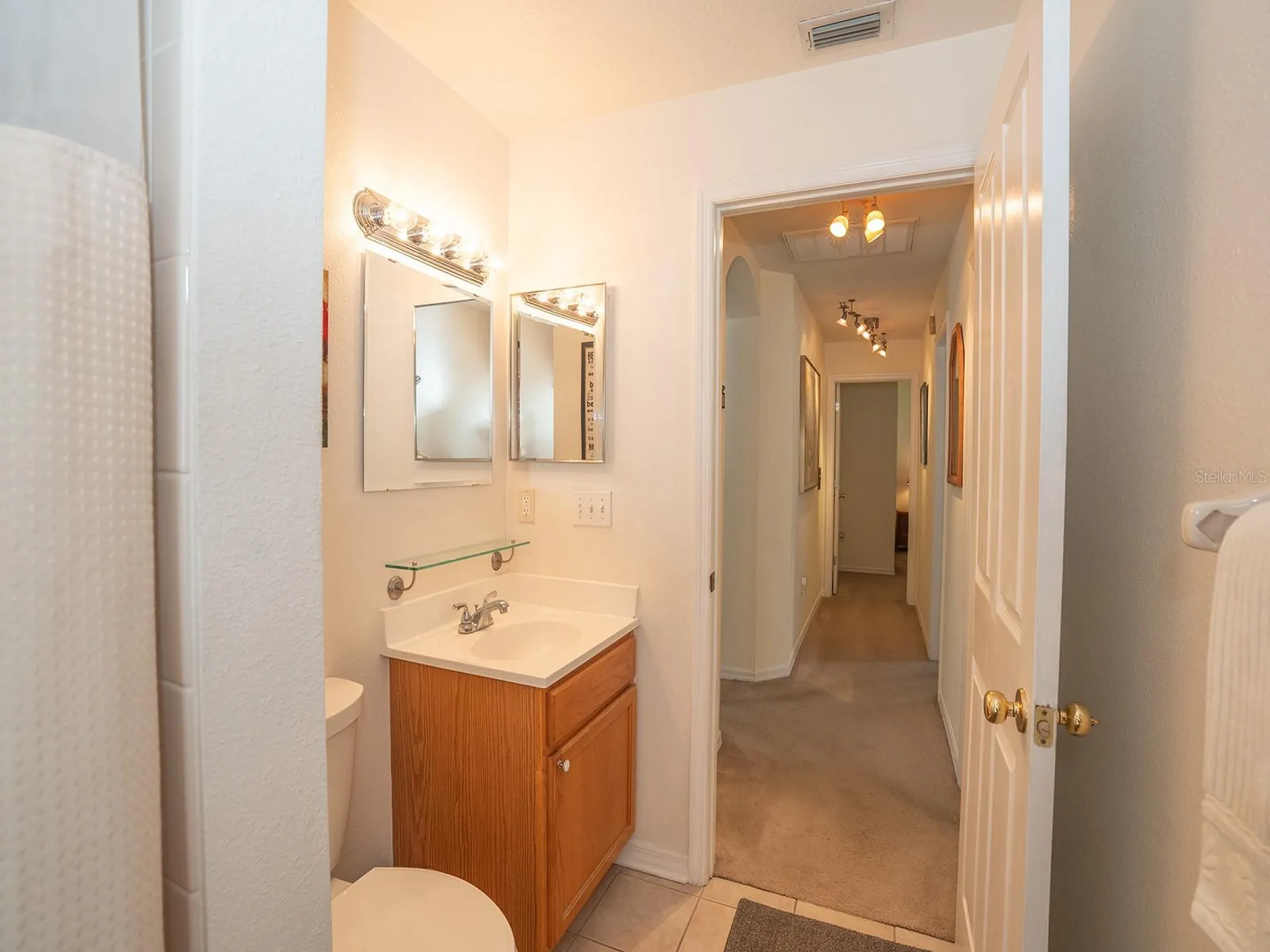 10501 Ashley Oaks Drive Riverview FL 33578