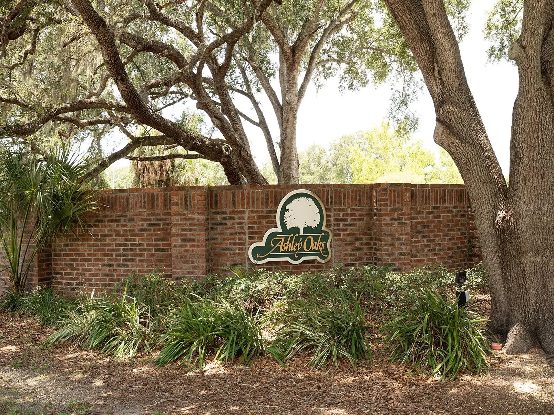 10501 Ashley Oaks Drive Riverview FL 33578