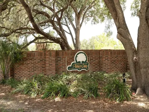 10501 Ashley Oaks Drive Riverview FL 33578