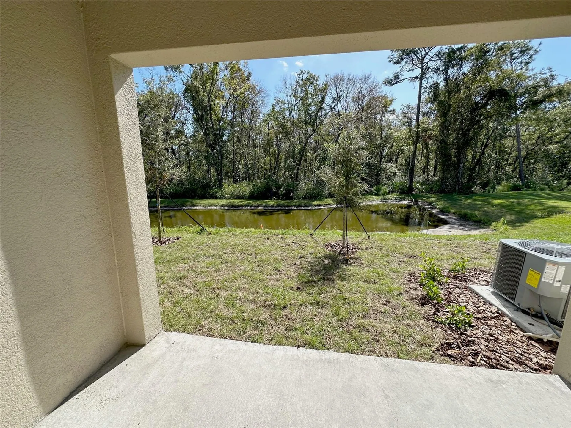 Land O Lakes FL 34638